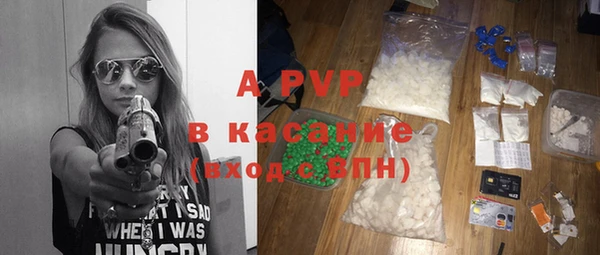 прущие грибы Вязники